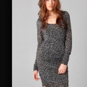 Velvet by Graham&Spencer grey leopard print dress